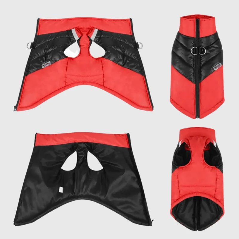 Manteau Imperméable Hiver Gros Chien