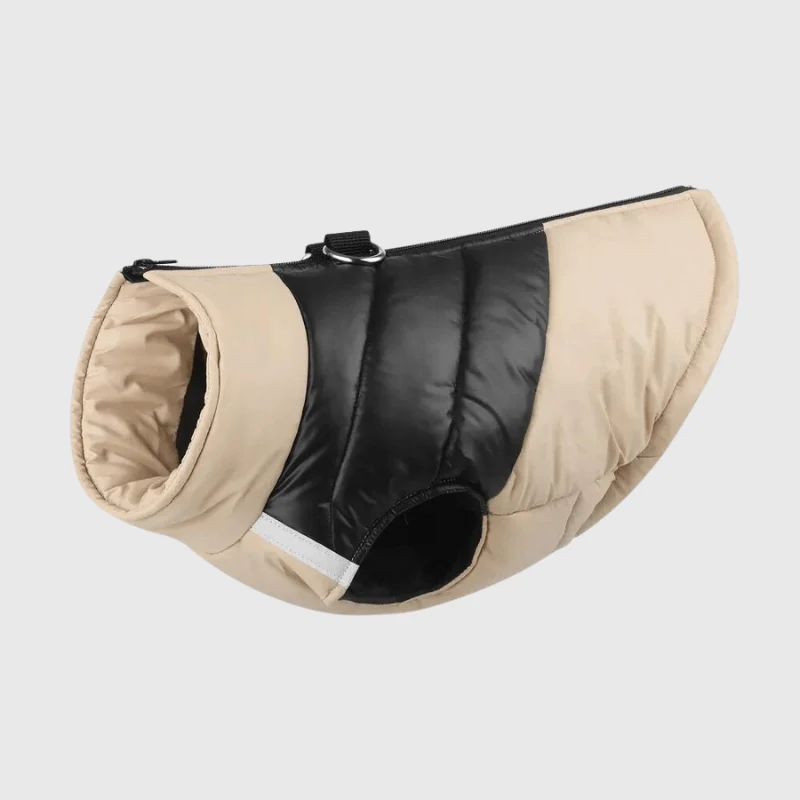 Manteau Imperméable Hiver Gros Chien