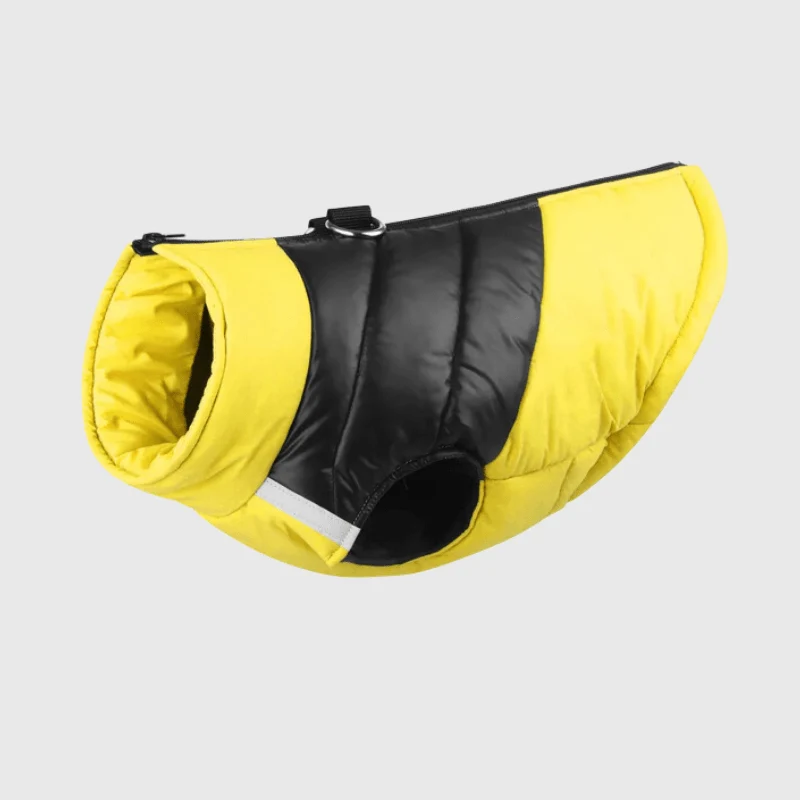 Manteau Imperméable Hiver Gros Chien