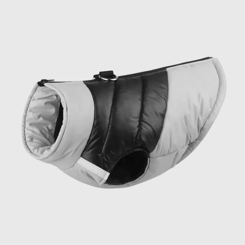 Manteau Imperméable Hiver Gros Chien