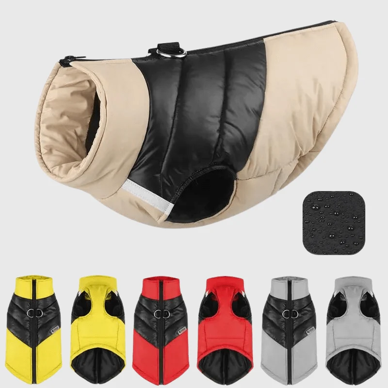 Manteau Imperméable Hiver Gros Chien