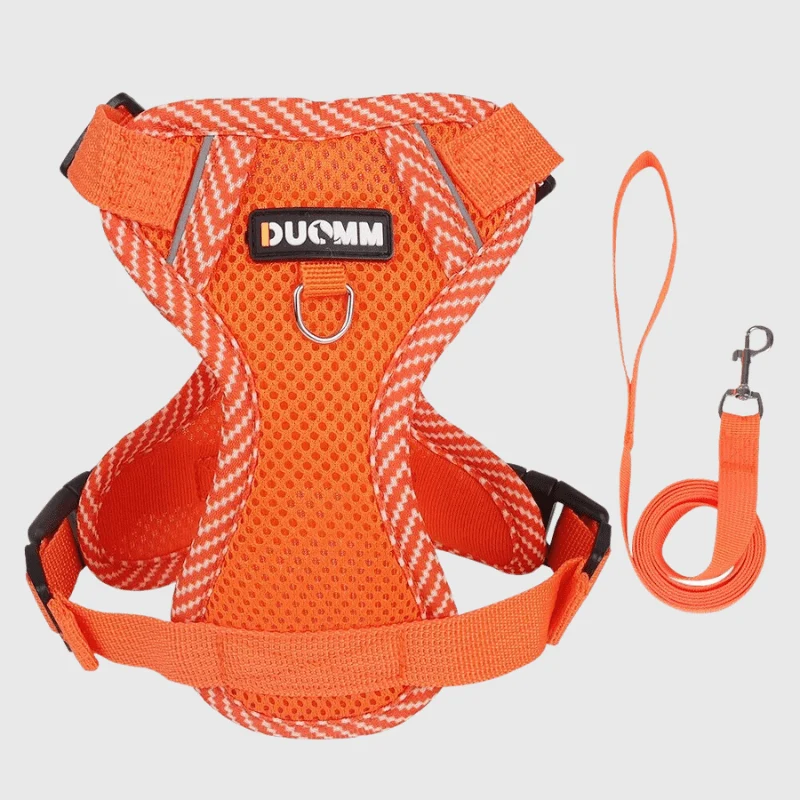 Harnais Nylon Ajustable Chien Coloré