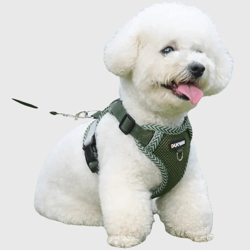 Harnais Nylon Ajustable Chien Coloré