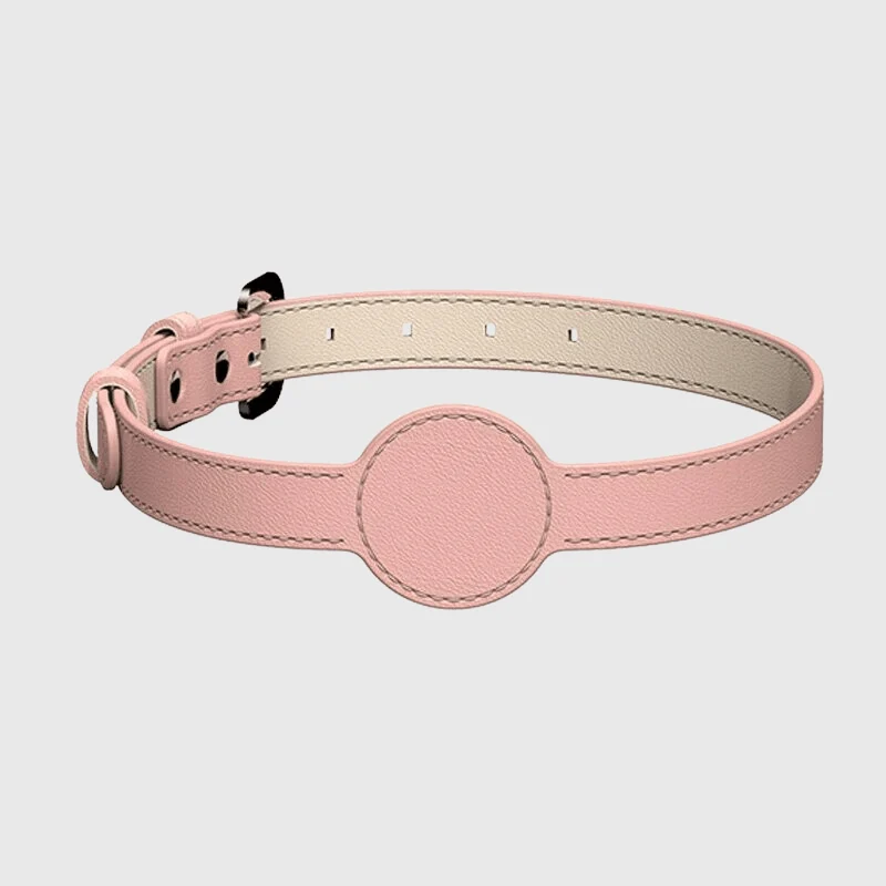 Collier Porte-Traceur GPS Nylon Chien Réglable