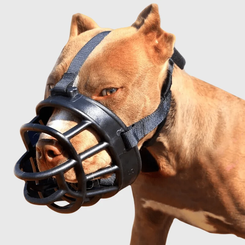 Muselière Panier Nylon Gris Grand Chien