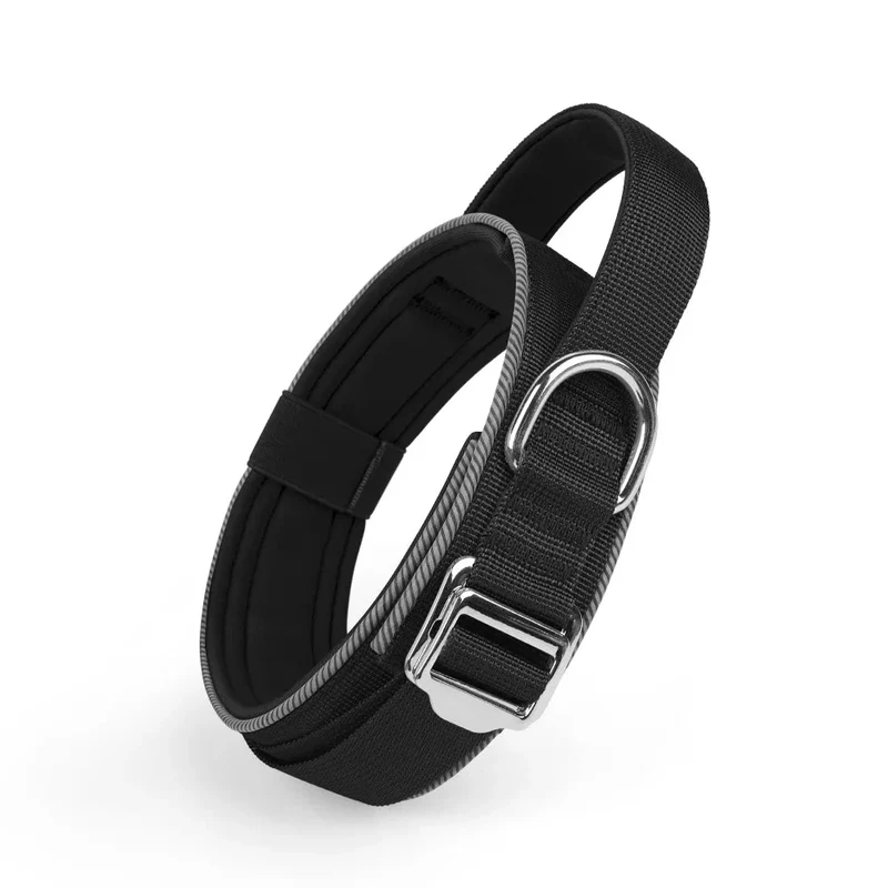 Collier Dressage Chiot Poignée Réglable Nylon