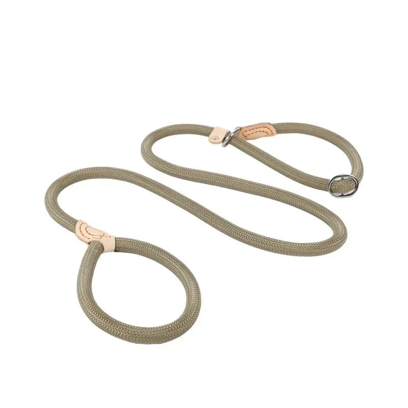 Laisse Lasso Frein Antidérapant Gros Chien