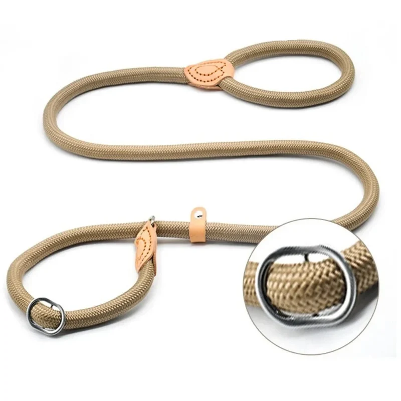 Laisse Lasso Frein Antidérapant Gros Chien