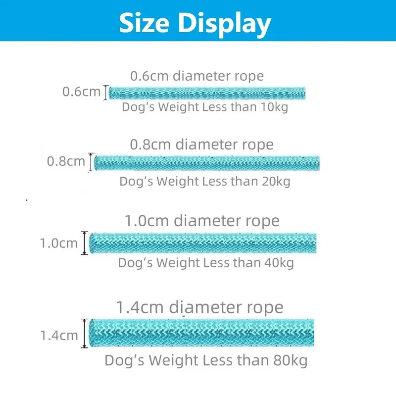 Laisse Lasso Frein Antidérapant Gros Chien