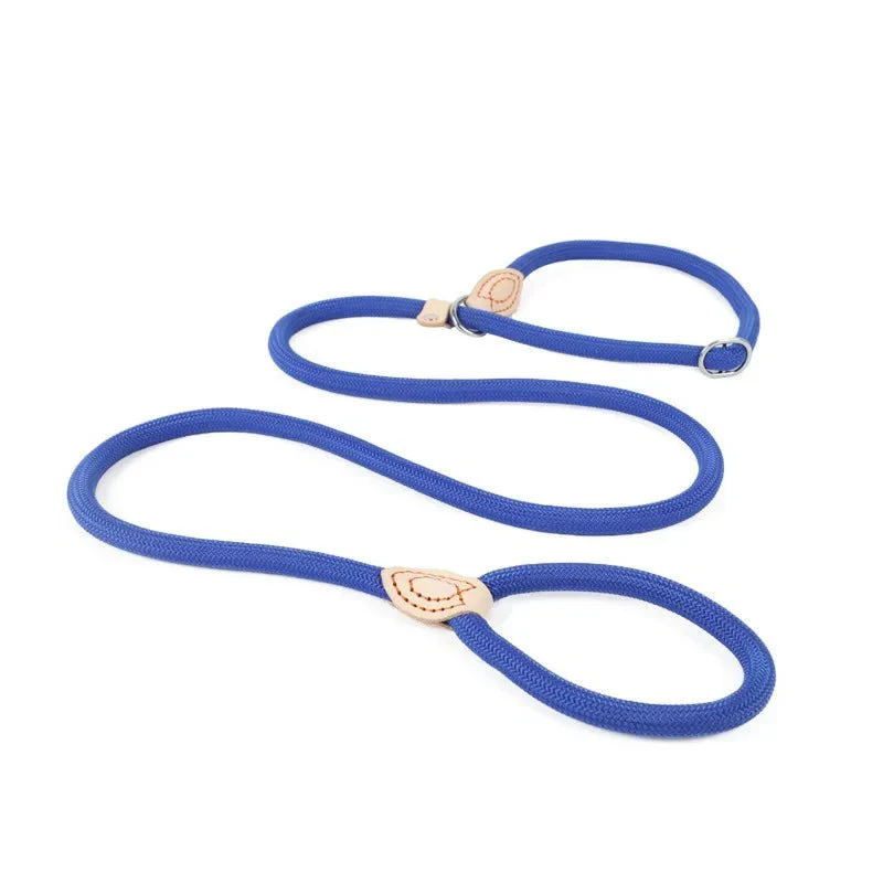 Laisse Lasso Frein Antidérapant Gros Chien