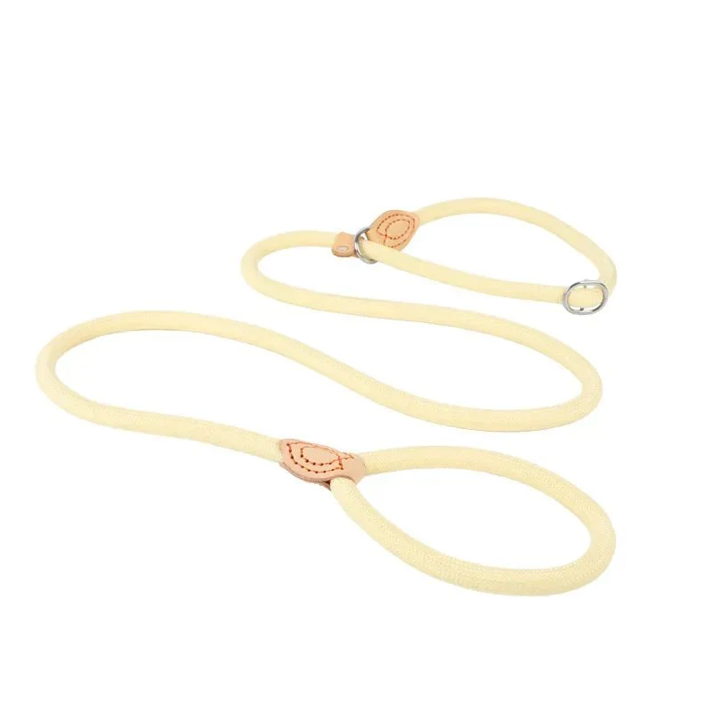 Laisse Lasso Frein Antidérapant Gros Chien
