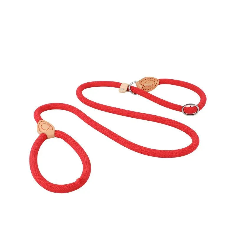 Laisse Lasso Frein Antidérapant Gros Chien