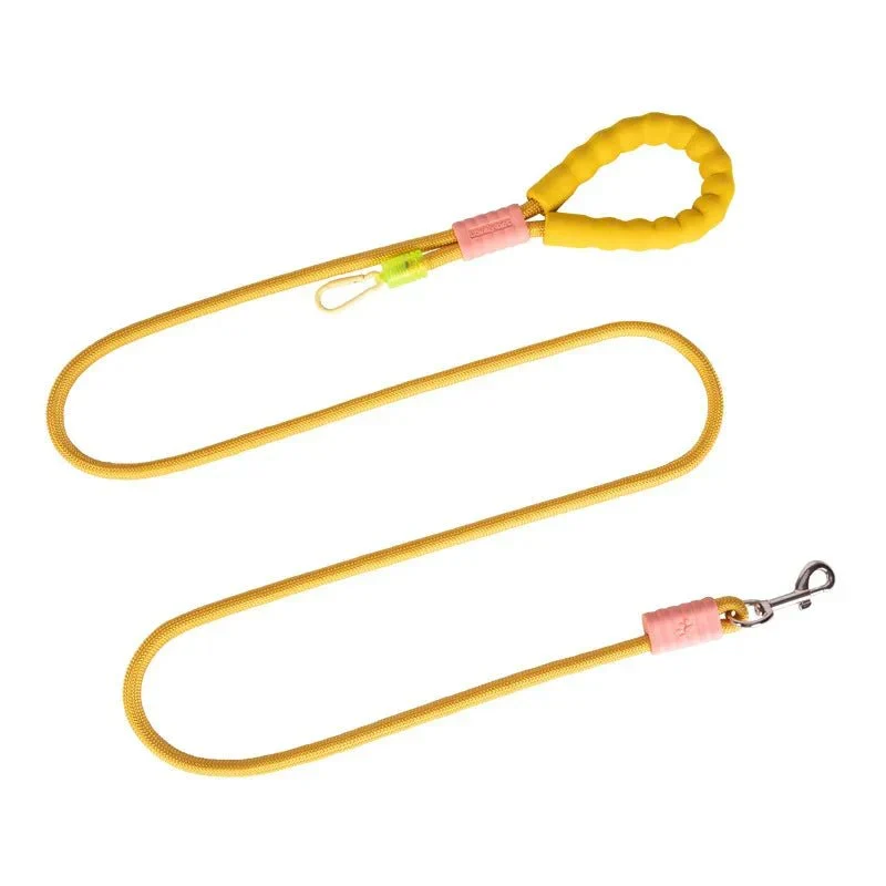 Laisse Mains Libres Ceinture Gros Chien 180cm