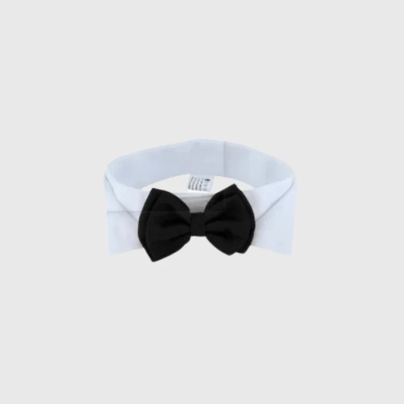 Noeud Papillon Chien Mariage Cravate Élégant