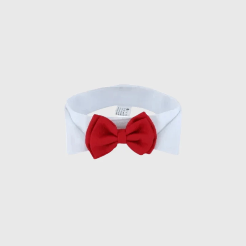 Noeud Papillon Chien Mariage Cravate Élégant