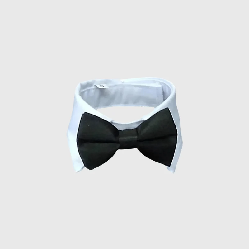 Noeud Papillon Chien Mariage Cravate Élégant