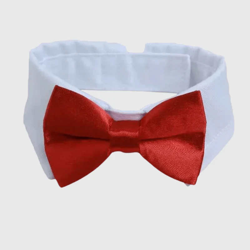 Noeud Papillon Chien Mariage Cravate Élégant