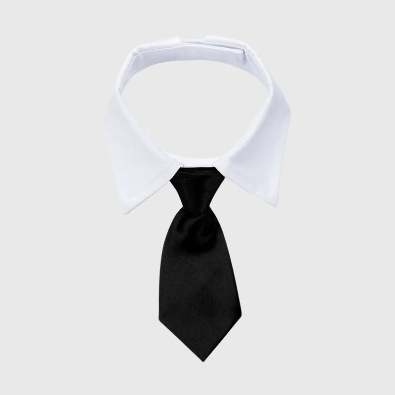 Noeud Papillon Chien Mariage Cravate Élégant