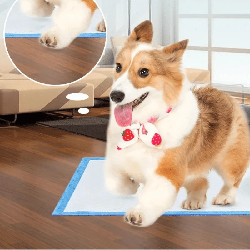 Alèses Hygiéniques Jetables Chien Pack