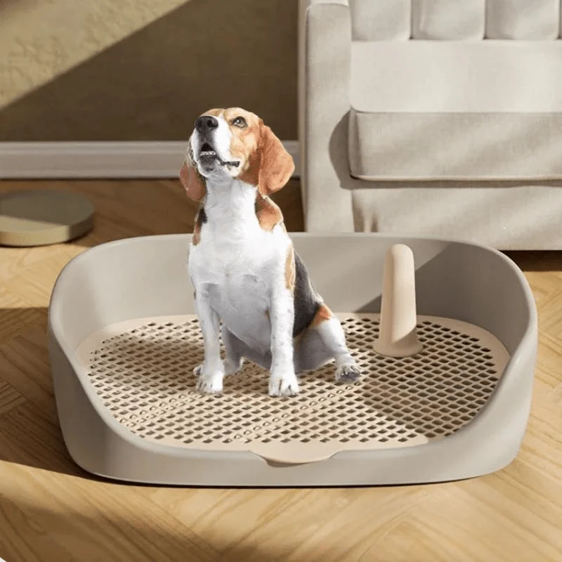 Litière Balcon Terrasse Chien Hygiénique