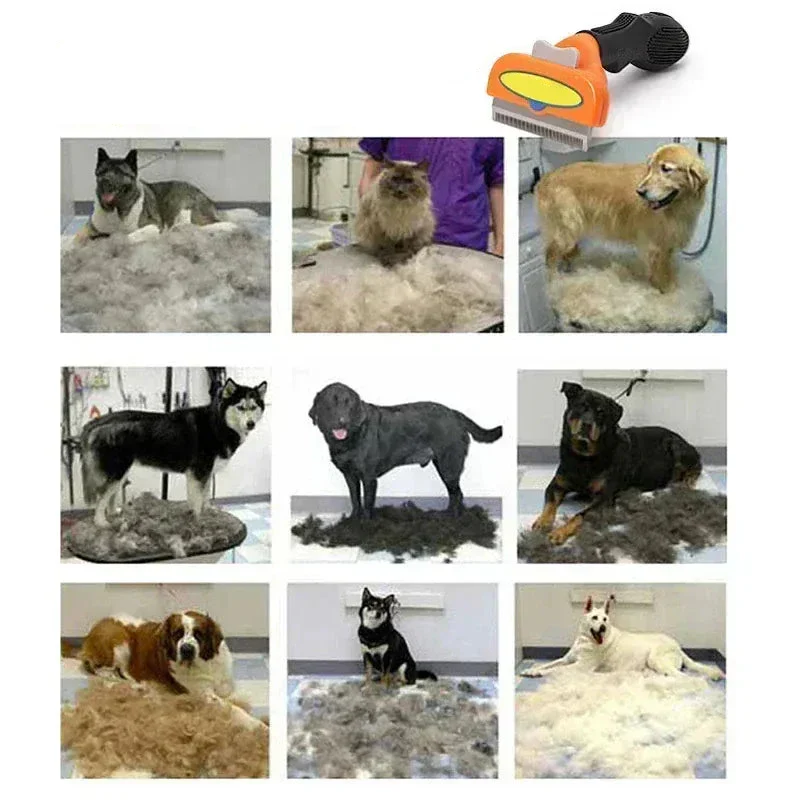 Brosse Toilettage Gros Chien Autonettoyante