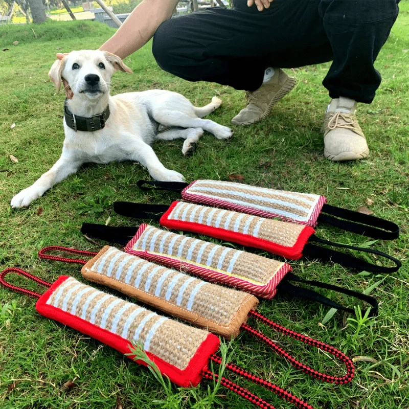 Boudin Mordant Jute Dressage Malinois