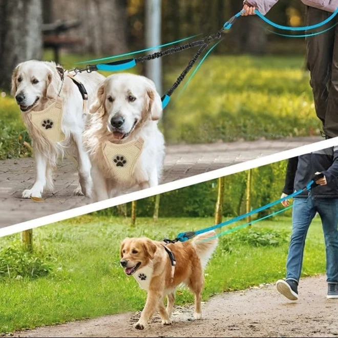 Laisse Double Réfléchissante Deux Chiens