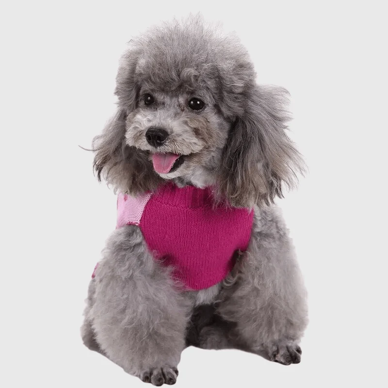 Pull Rose Cœur Chien Hiver Tendance