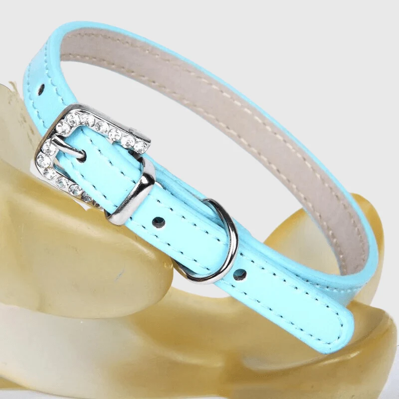 Collier Nylon Réglable Chiot Petite Race