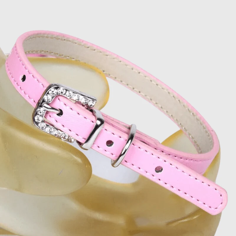 Collier Nylon Réglable Chiot Petite Race