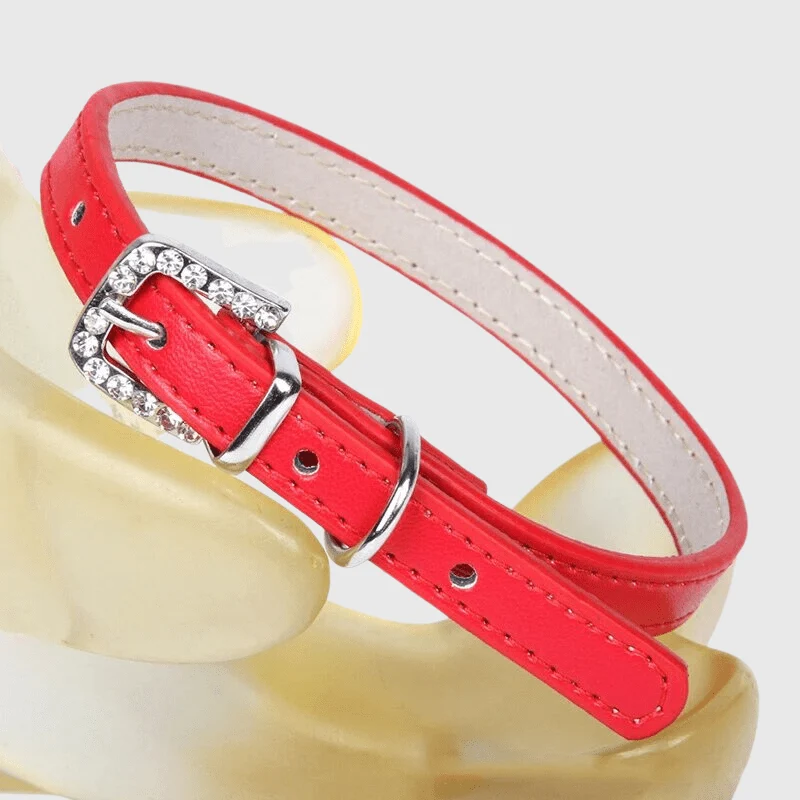 Collier Nylon Réglable Chiot Petite Race
