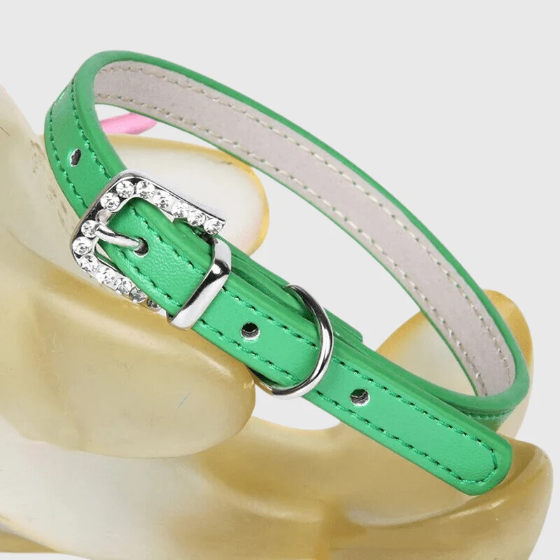 Collier Nylon Réglable Chiot Petite Race