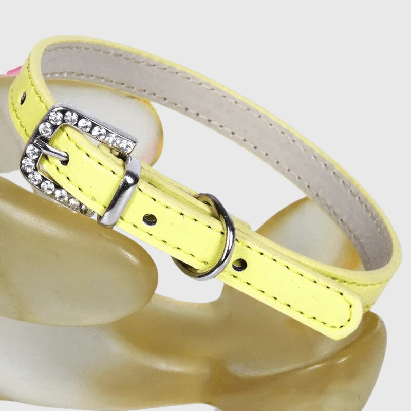 Collier Nylon Réglable Chiot Petite Race