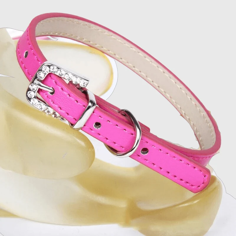Collier Nylon Réglable Chiot Petite Race