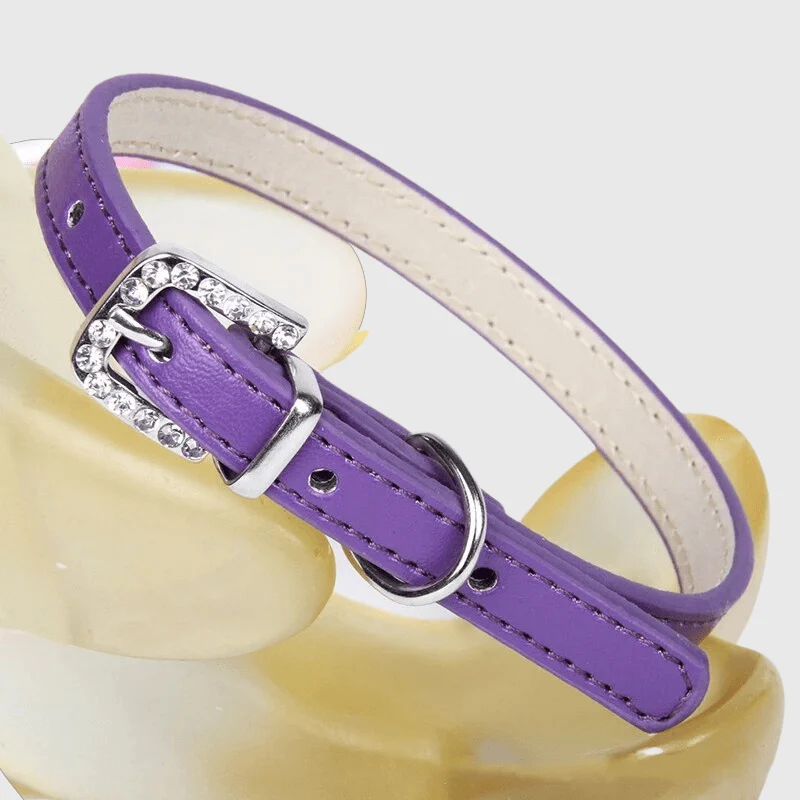 Collier Nylon Réglable Chiot Petite Race