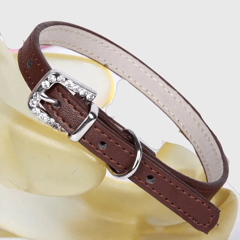 Collier Nylon Réglable Chiot Petite Race