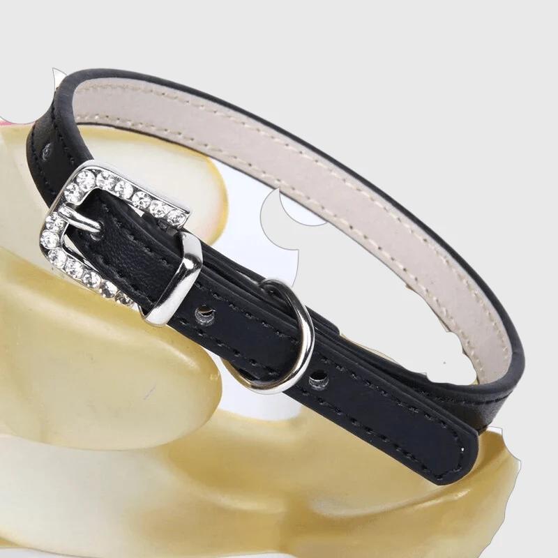 Collier Nylon Réglable Chiot Petite Race