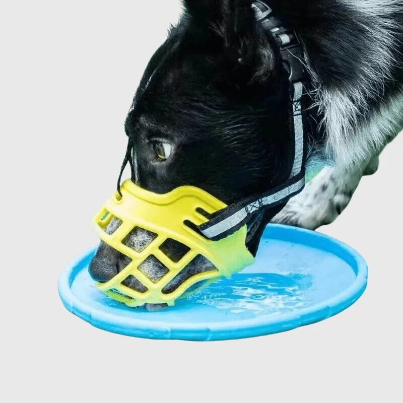 Muselière Panier Ajustable Gros Chien Noir