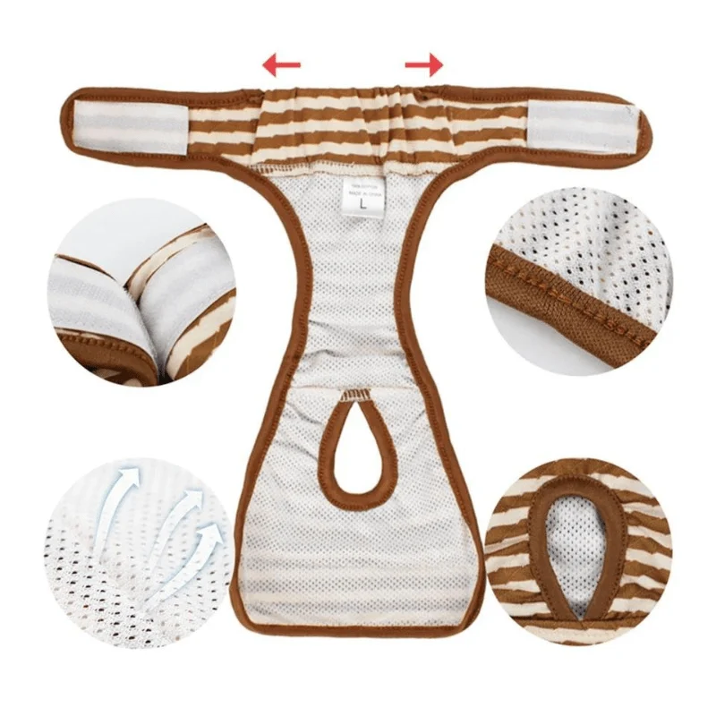 Culotte Absorbante Réutilisable Grande Race