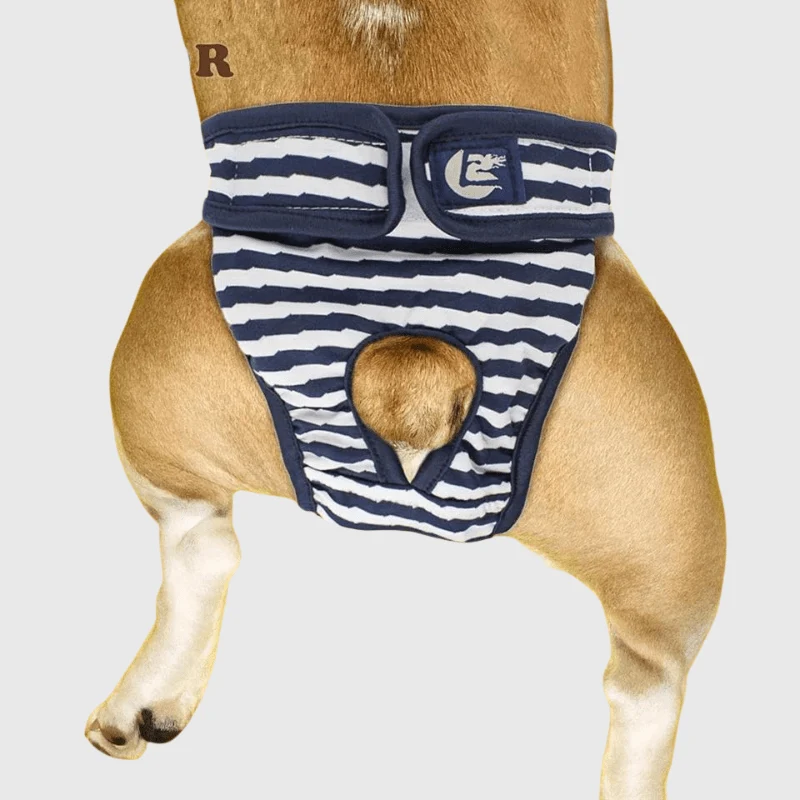 Culotte Hygiénique Réglable Chienne XXL