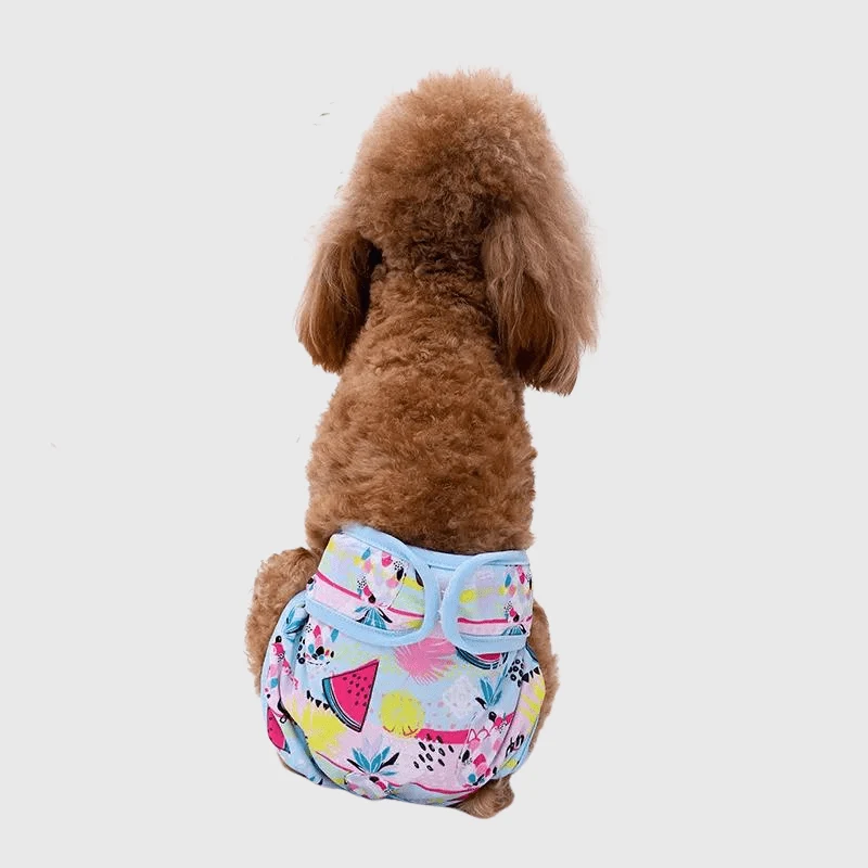 Culotte Hygiénique Chienne Chaleur Violet