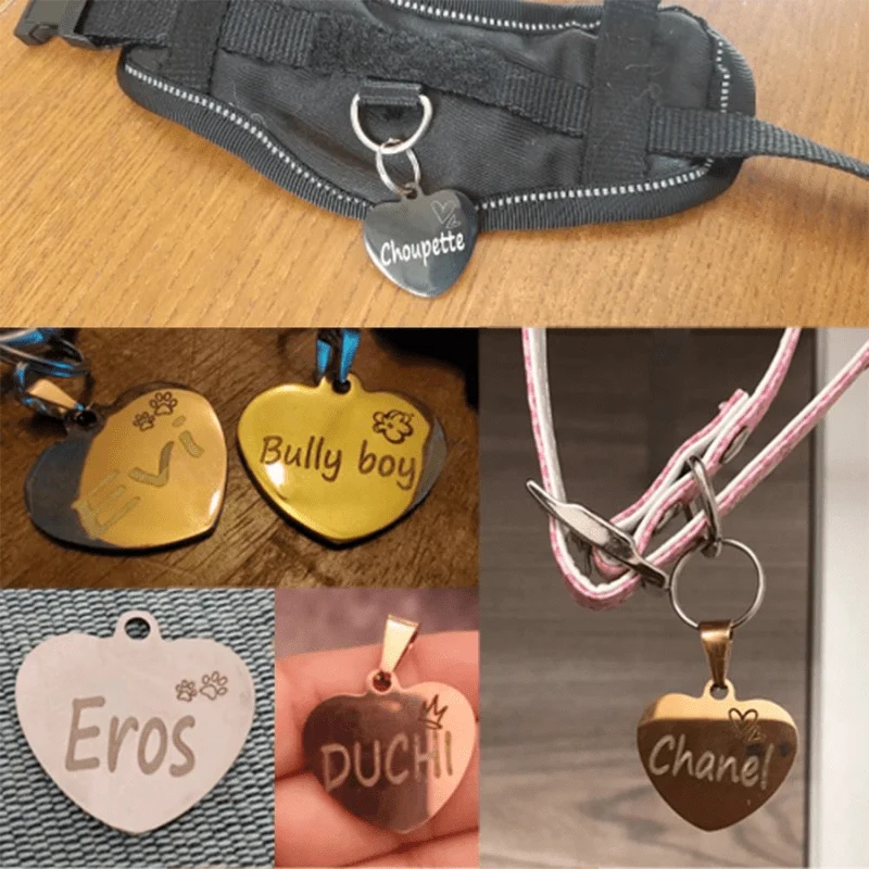 Médaille Gravée Identification Chien Personnalisée
