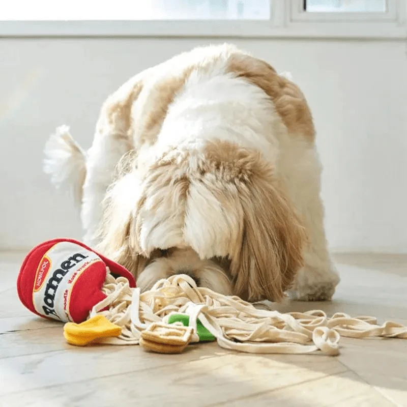 Tapis Fouille Olfactif Ramen Stimulation Mentale Chien