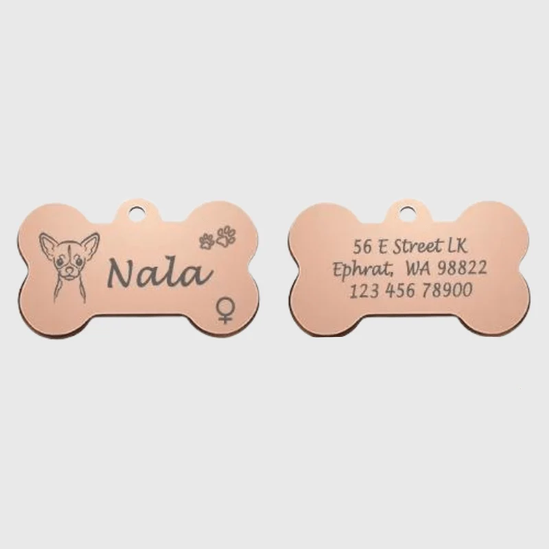 Médaille Identification Chien Gravée Motif Patte