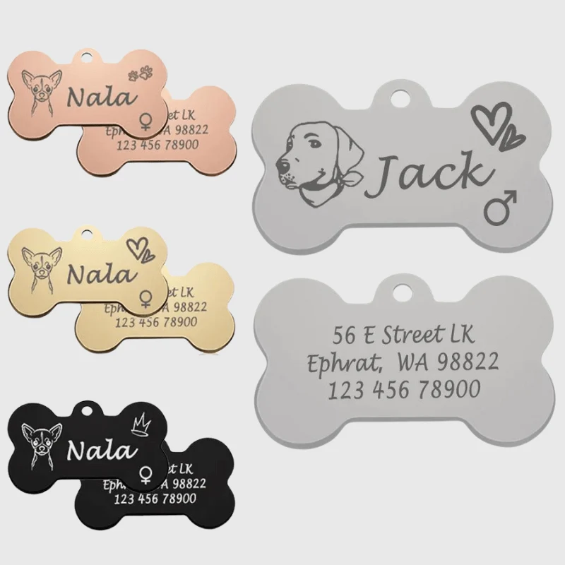 Médaille Identification Chien Gravée Motif Patte