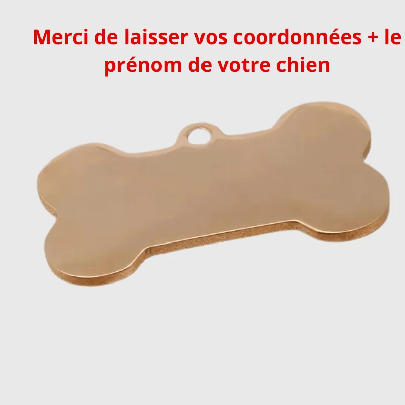 Médaille Identification Chien Gravée Motif Patte