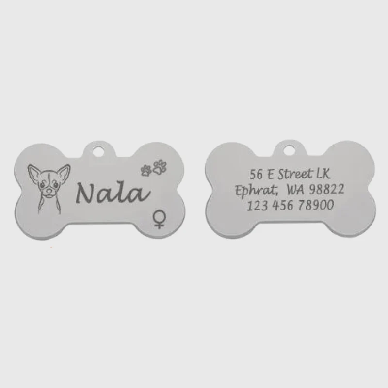 Médaille Identification Chien Gravée Motif Patte