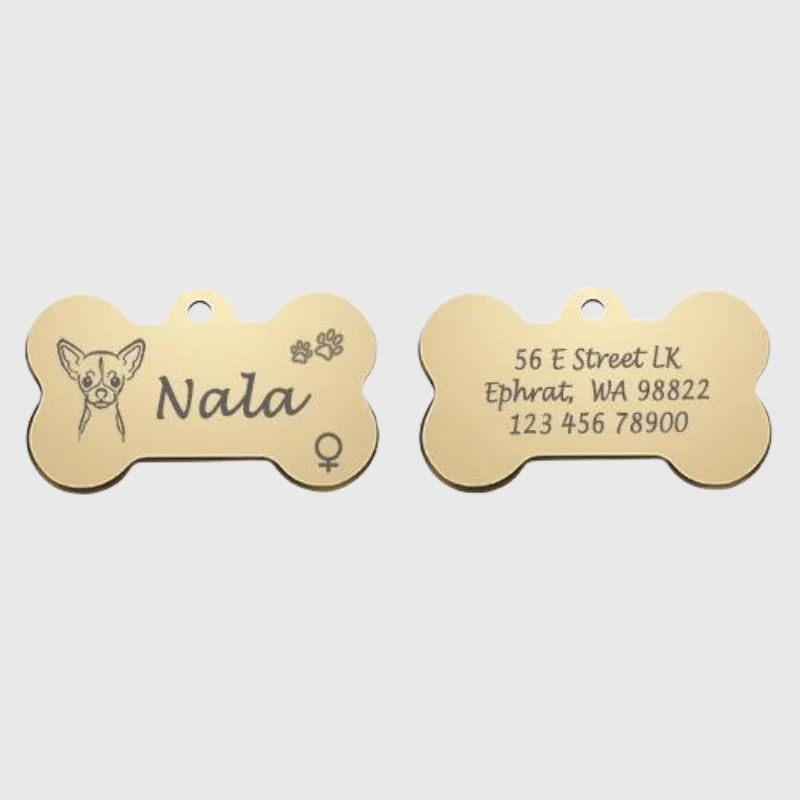 Médaille Identification Chien Gravée Motif Patte