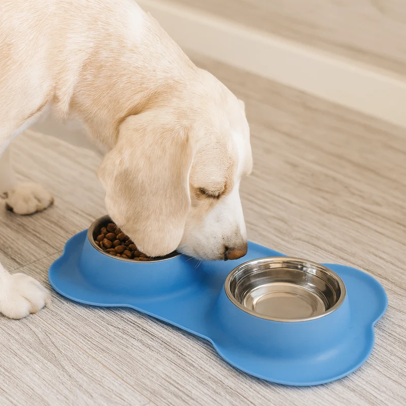 Gamelle Double Inox Bleu Antidérapante Gros Chien
