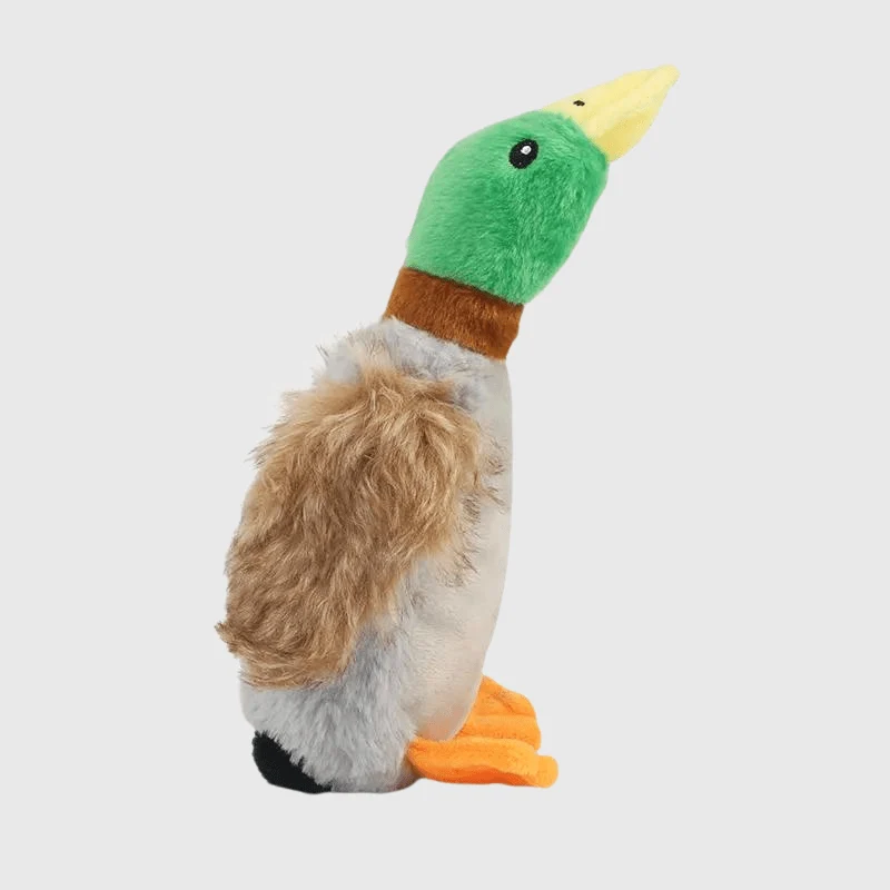 Jouet Canard Peluche Siffleur Chien